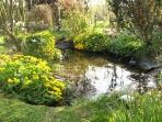 Lovely pond