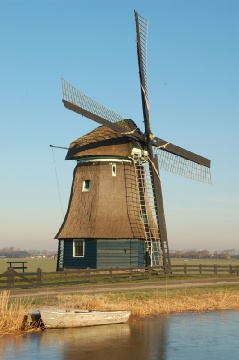 Dutch landscape